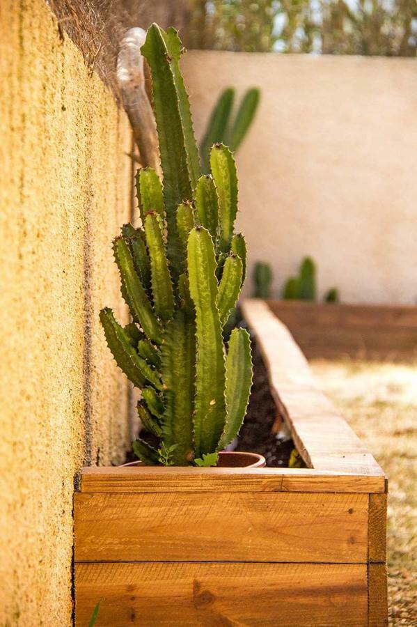 Casa Mawi Apartment Sagres Exterior photo